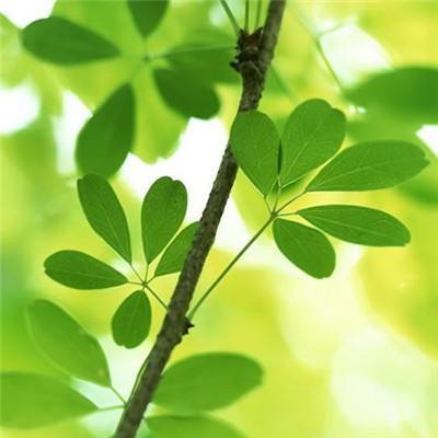 半岛·体育官网下载截图