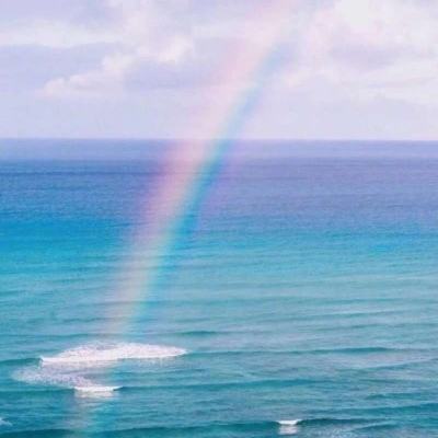 半岛综合app官网版登录