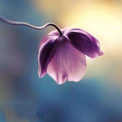 开元·app下载手机版