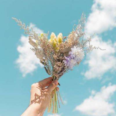 九博体育手机版截图