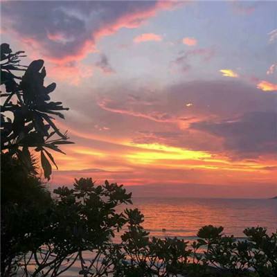 一肖三码app下载