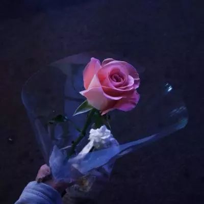 星空体育2024下载app下载