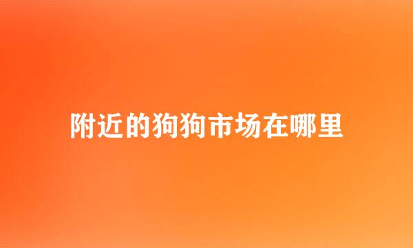 附近的狗狗市场在哪里